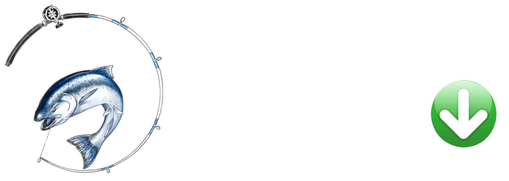 logo with phone number