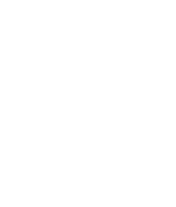 2021 Travelers Choice Award